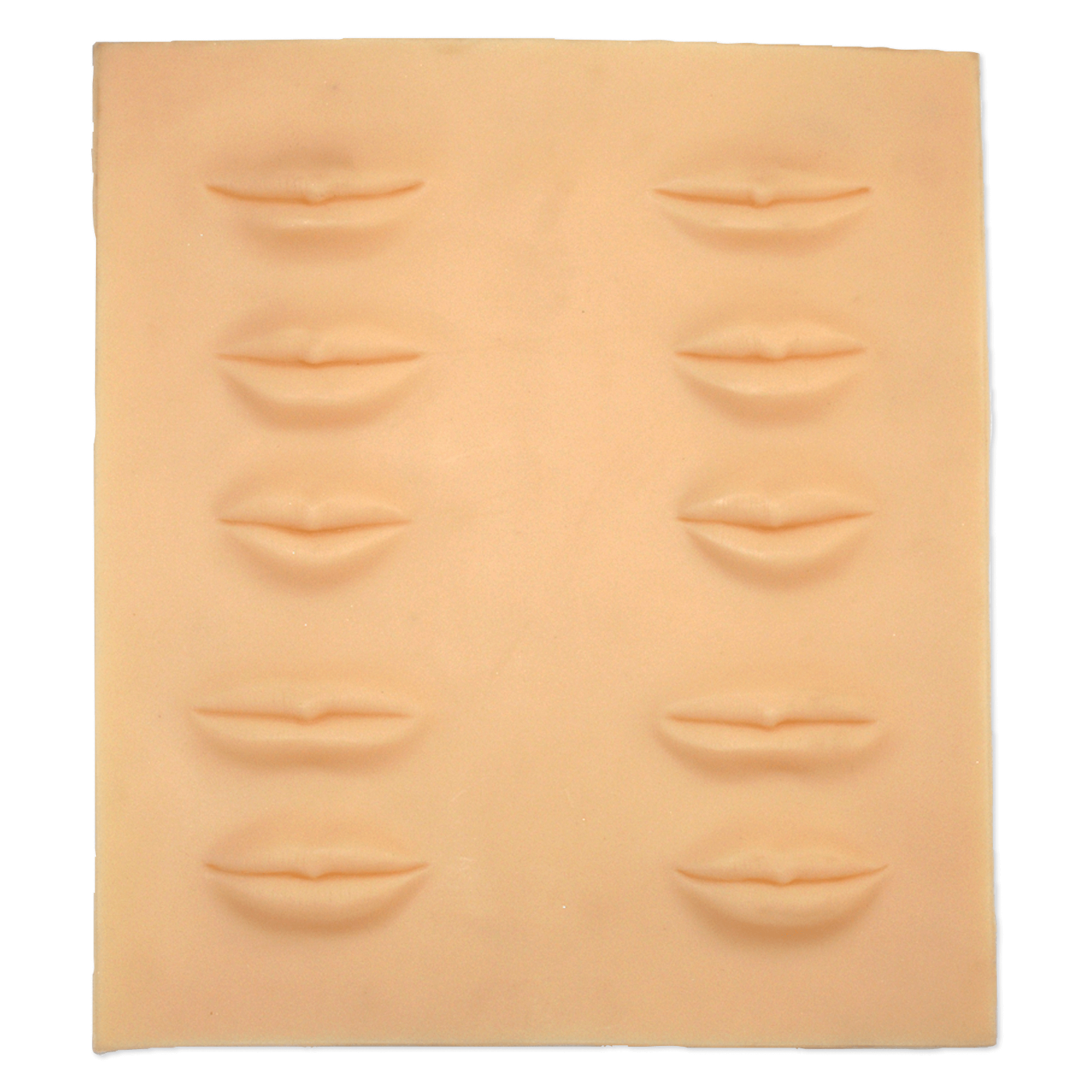 Celebrity Lip Training Palette #LIP-4