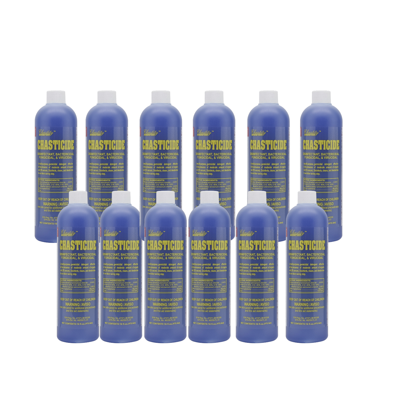 Chastity Chasticide Disinfect salon tools 16 oz Case 12 bottles