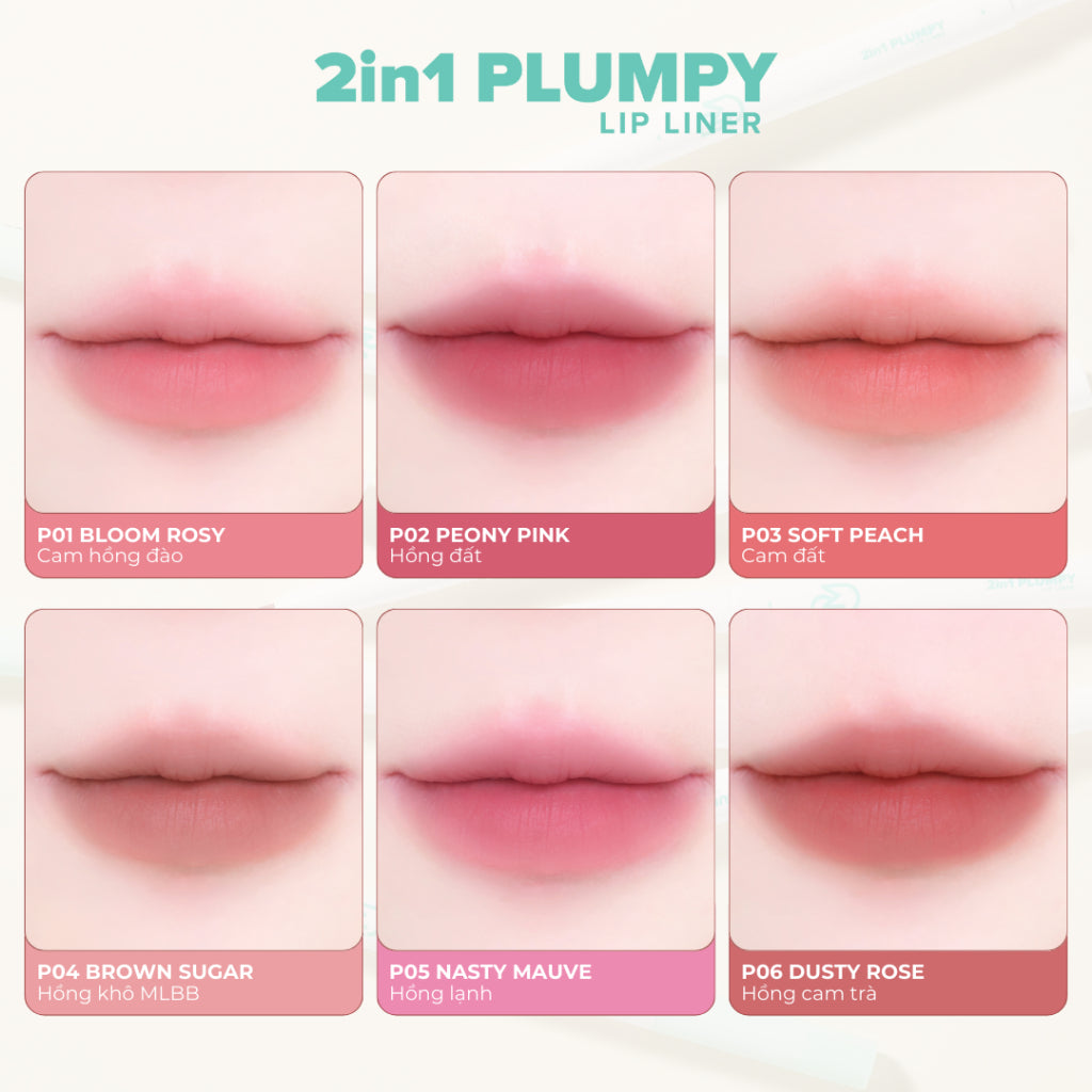 Dearmay 2in1 Plumpy Lip Liner P06 Dusty Rose