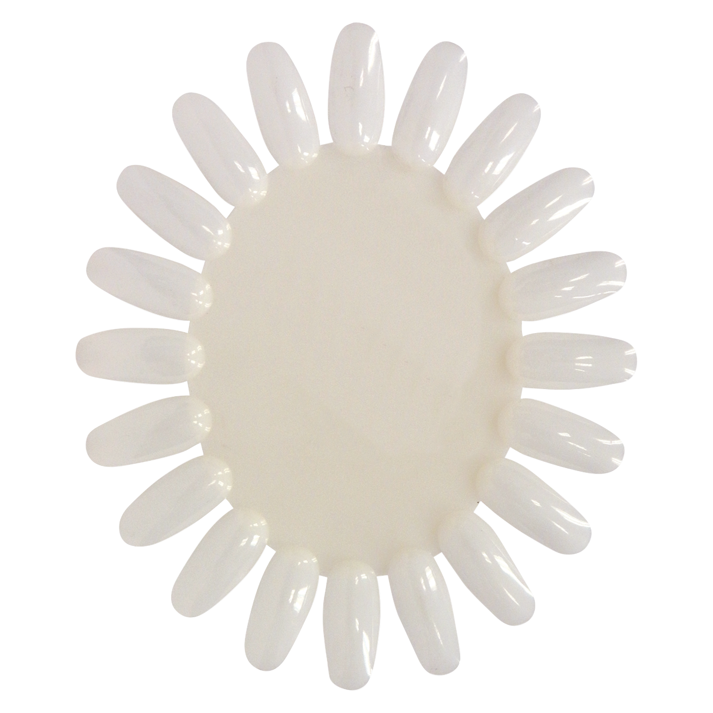 Nail Polish Palette Color Wheel Natural DL-C234