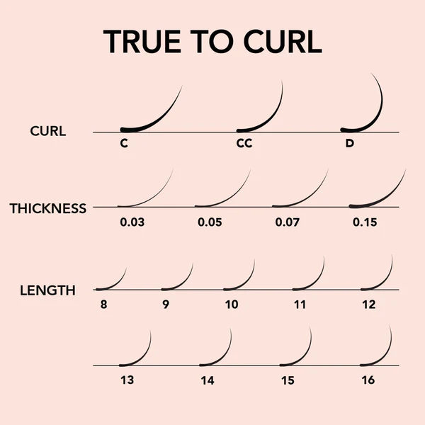 Kiara Sky Lash Extensions Cashmere Easy Fan Thickness 0.03 Curl CC Length 08mm CECC308