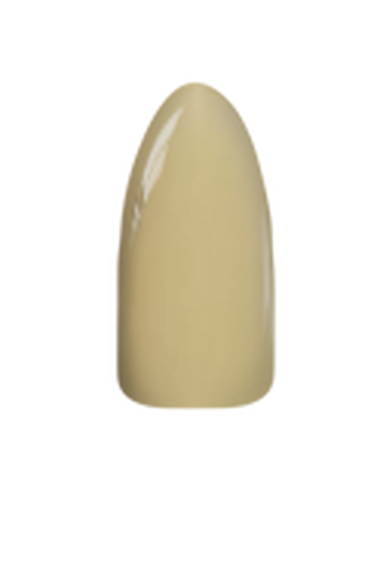 Chisel Acrylic & Dipping Powder 2 oz Solid 171