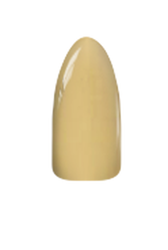 Chisel Acrylic & Dipping Powder 2 oz Solid 197