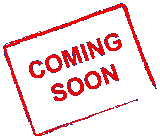 China Glaze Nail Polish Stay Frosted 0.5 oz #85098 ds