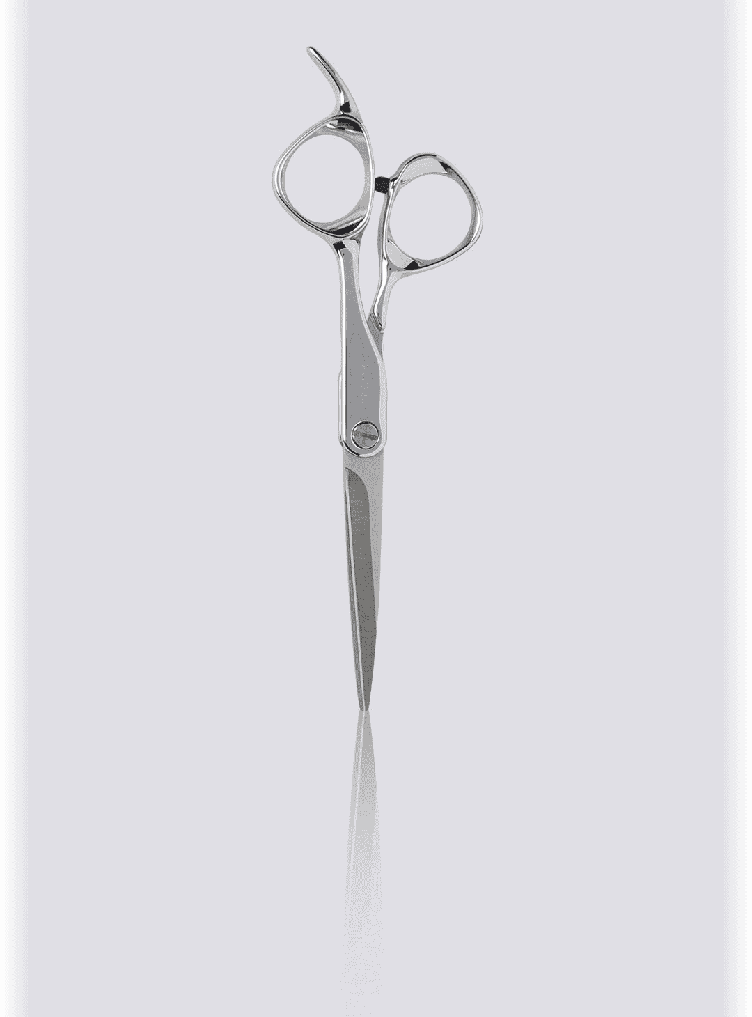 FROMM Explore Silver Shears 5.75 in F1004