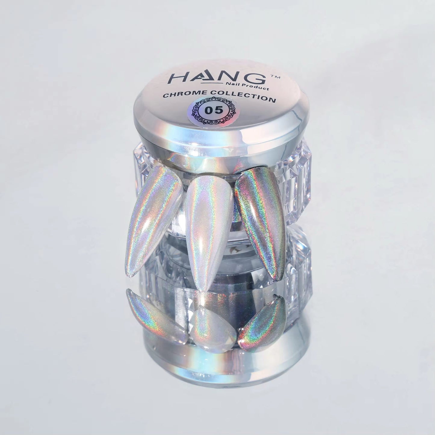 Hang New Chrome Effects Powder Holo Chrome Jar #05