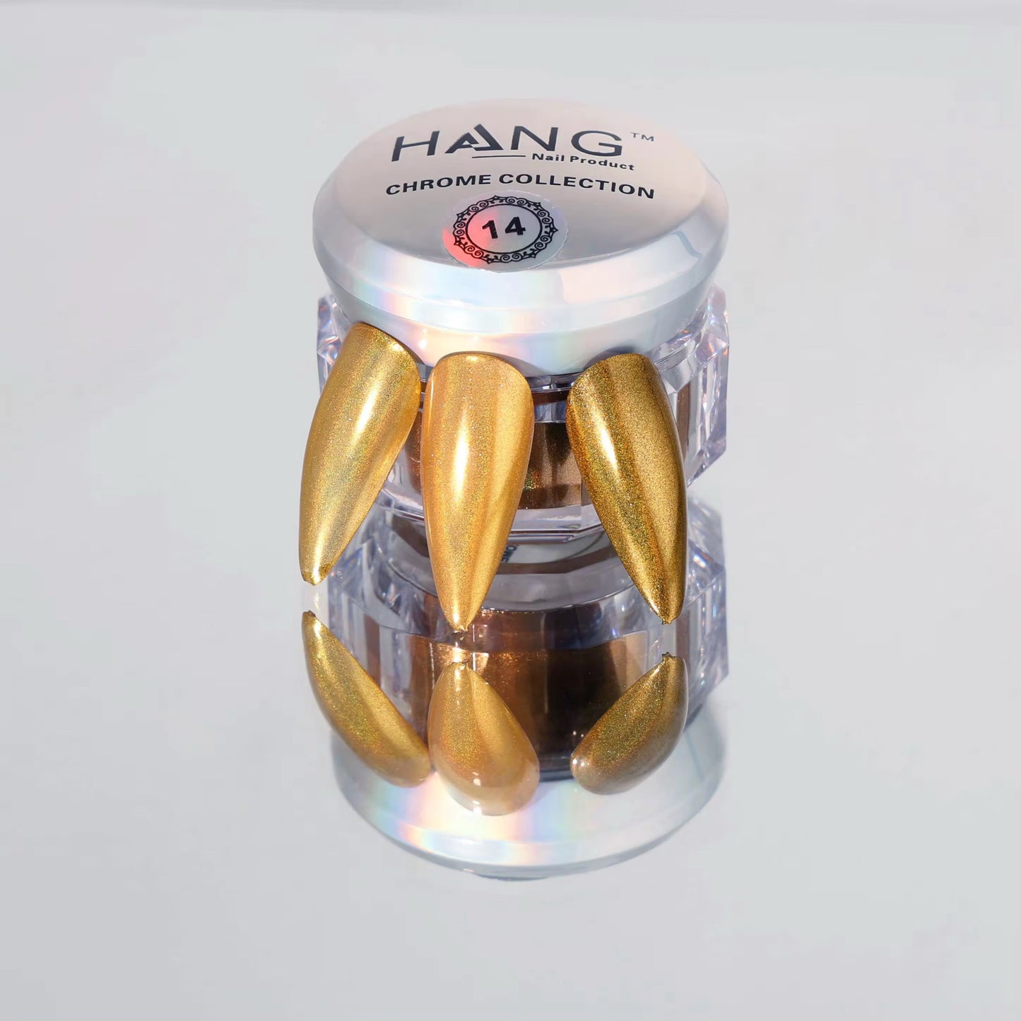Hang New Chrome Effects Powder Holo Gold Jar #14