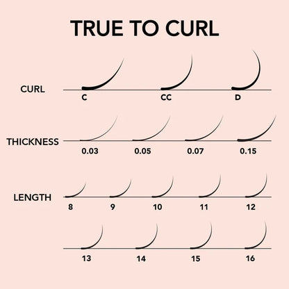 Kiara Sky Lash Extensions Cashmere Classic Thickness 0.15 Curl C Length 10mm CLC1510