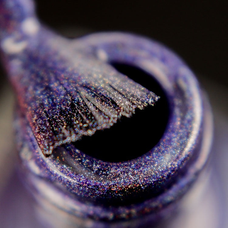 Lechat Dare to Wear Spectra Gravity #SDW18