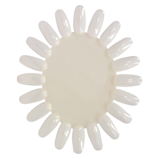 Nail Polish Palette Color Wheel Natural DL-C234