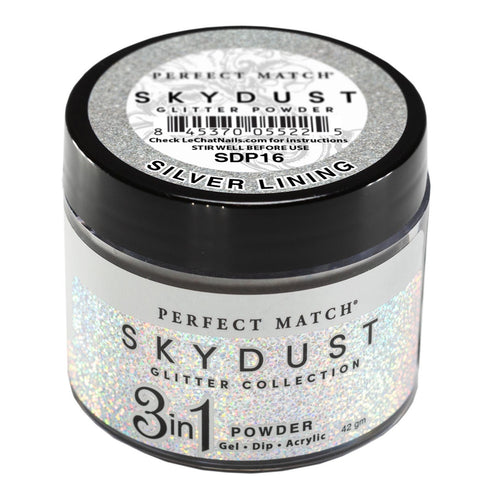 Perfect Match Glitter Powder Skydust Silver Linning 42 gm #SDP16