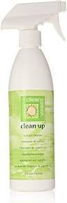 Clean Easy Clean-Up - Surface Cleanser 16 oz #43620-Beauty Zone Nail Supply