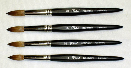Petal kolinsky acrylic nail brush black angle size 16 - BeautyzoneNailSupply