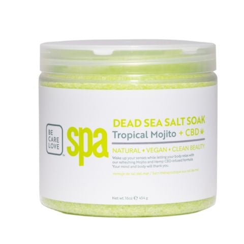 BCL SPA Dead Sea Salt Soak Mojito Mint 16oz Soak SPA56811