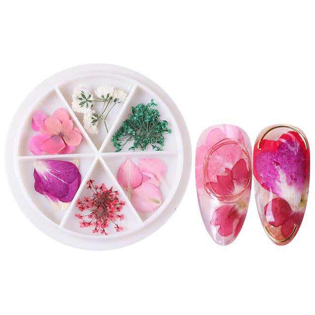 Wheel Dried Flowers Nail Art Decorations Natural Flower Leaf Floral-Beauty Zone Nail Supply