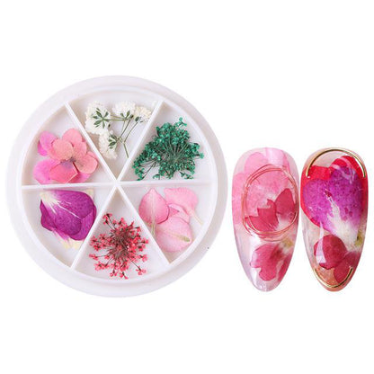 Wheel Dried Flowers Nail Art Decorations Natural Flower Leaf Floral-Beauty Zone Nail Supply