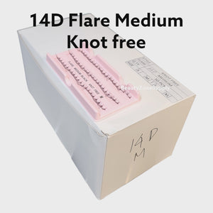 Monika Eyelash Individuals Knot-Free Box 50 Pack - 14D Medium