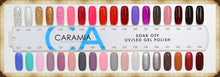Load image into Gallery viewer, Caramia Duo Gel &amp; Lacquer 111-Beauty Zone Nail Supply