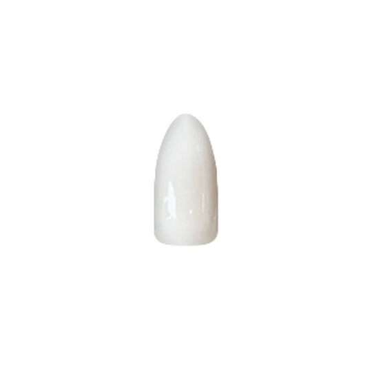 Chisel Acrylic & Dipping Powder 2 oz American