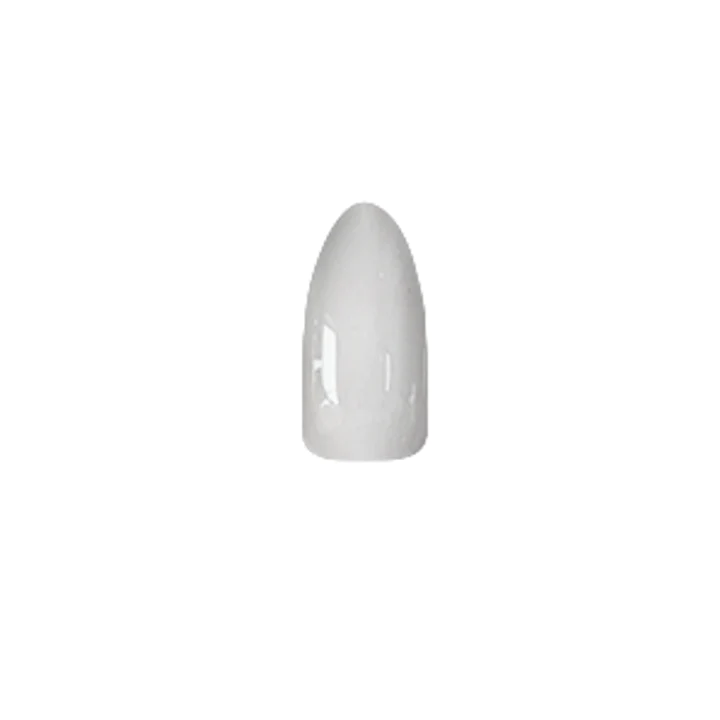 Chisel Acrylic & Dipping Powder 2 oz Natural