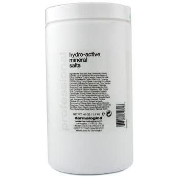 Dermalogica Hydro-active Mineral Salts 40oz #209501