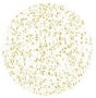 Gelish Dip CALIFORNIA GOLD - GOLD GLITTER OVERLAY 43g | 1.5 oz 1620402-Beauty Zone Nail Supply