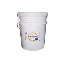 Load image into Gallery viewer, Monika Honey Sugar Scrub Lavender Pail 5 Gallon-Beauty Zone Nail Supply