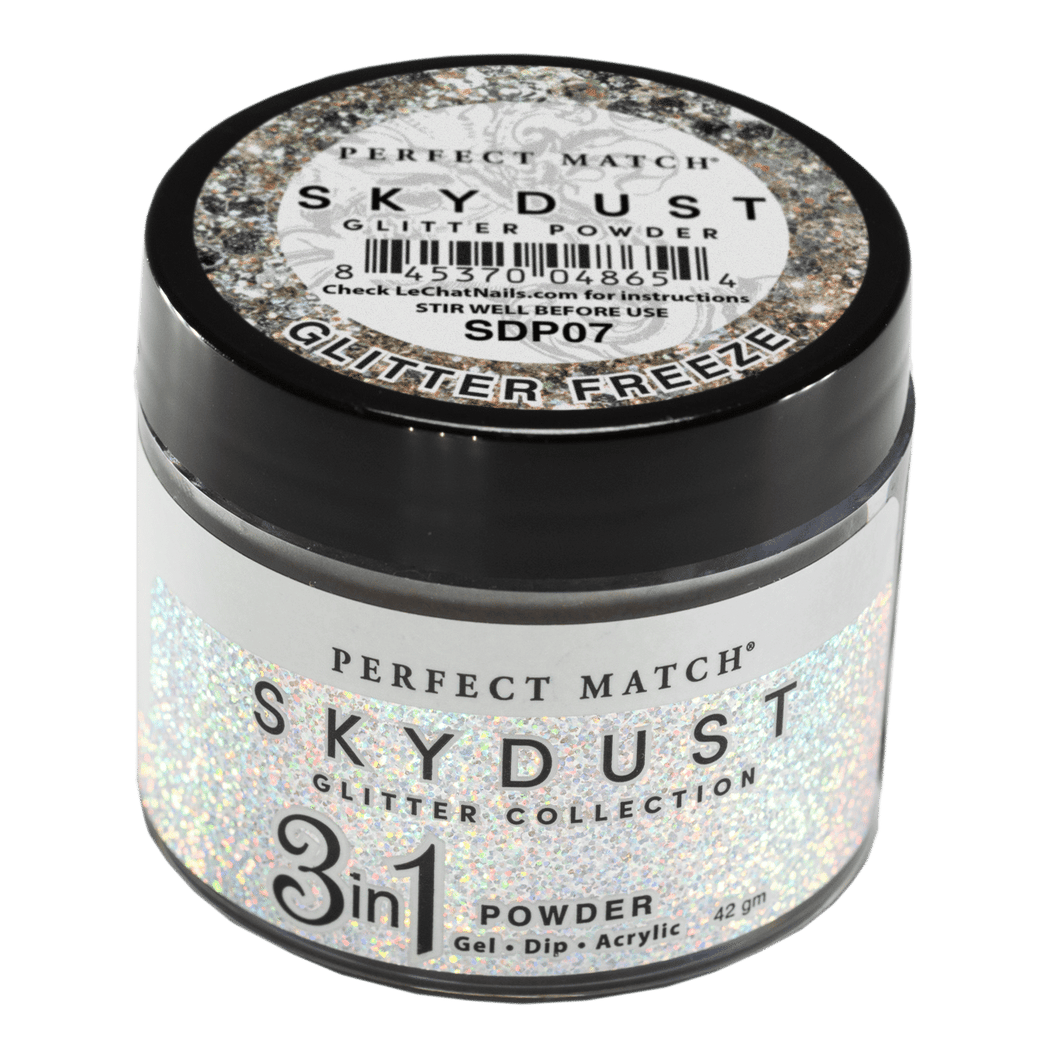 Perfect Match Glitter Powder Skydust Glitter Freez 42 gm #SDP07