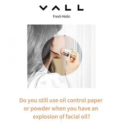 Vall Fresh Holic Face Oil Remover Stone Ball Pink